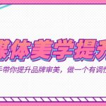自媒体-美学提升营 手把手带你提升-品牌审美，做一个有调性博主（11节课）