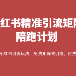 小红书精准引流矩阵陪跑计划，系统学习小红书引流玩法，免费矩阵式引流，付费投流广告