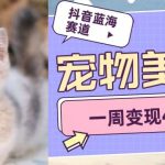 抖音蓝海赛道，宠物美容，一周变现4000