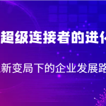 一个超级连接者的进化论 商业新变局下的企业发展路径