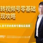 微信视频号零基础变现攻略，人人皆可学的视频号赚钱实操课