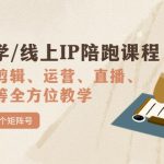 国学/玄学/线上IP陪跑课程，从0-1全方位教学，快速发展数百个矩阵号