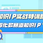 知识IP实战特训营，孵化多赛道知识IP（33节课）