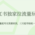 小红书独家拉流量玩法，纯自然流量起号无货源卖货，三天起号轻松一天上百单