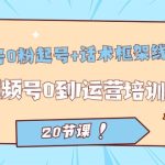 视频号·0粉起号+话术框架线上课：视频号0到1运营培训班（20节课）