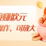 跨境赚欧元，一个窗口一天5-10+，小白可操作，可无脑放大