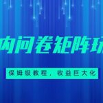 保姆级教程，国内问卷矩阵玩法，轻松赚收益