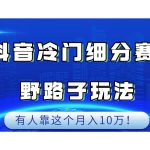 抖音冷门细分赛道野路子玩法，有人靠这个月入10万