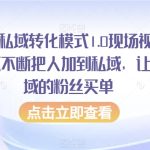 抖音引流私域转化模式1.0现场视频，从抖音源源不断把人加到私域，让加到私域的粉丝买单