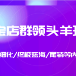 淘宝店群领头羊玩法，精细化/终极蓝海/尾销等内容（第10-12期）