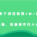 外面单个项目收费1W+的项目，小白必备，批量操作月入5000+