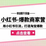 小红书-爆款商家营【第18期升级版】用小红书引流，打造淘宝爆款（16节课）