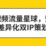 短视频流量星球，短视频差异化双IP策划课（2023新版）