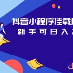 抖音小程序挂载风行视频变现项目日入200+