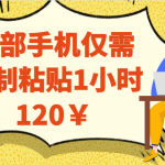 一部手机仅需复制粘贴1小时120￥