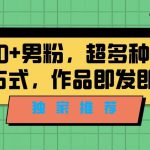 独家推荐！日引300+精准男性粉丝，分类风格视频新玩法2.0！变现超级快