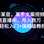 最新某音，某手文案视频搭配助眠直播间，月入数万  小白轻松入门+保姆级教程