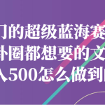冷门的超级蓝海赛道，八卦圈都想要的文件，一天轻松日入500怎么做到的？