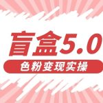 盲盒交友变现5.0（色粉变现）日入500+