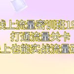 线上流量密训班19.0，打通流量关卡，线上也能实战流量破局