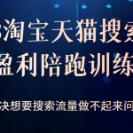 2023淘宝天猫搜索持续盈利陪跑训练营，解决想要搜索流量做不起来问题