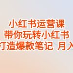 小红书运营课，带你玩转小红书，轻松打造爆款笔记 月入过万