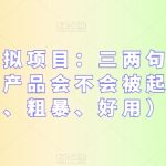 拼多多虚拟项目：三两句话解决选品难，产品会不会被起诉（简单、粗暴、好用）