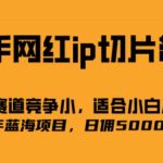 快手网红ip切片新赛道，竞争小，适合小白  2023蓝海项目