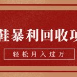 旧鞋暴利回收项目，轻松月入过万【回收渠道+详细教学视频】