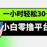 小白零撸平台项目，一小时轻松30+