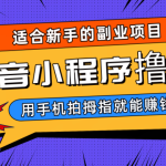 抖音小程序撸金项目，用手机每天拍个拇指挂载一下小程序就能赚钱