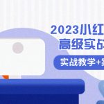 （8342期）2023小红书-电商高级实战课程，实战教学+案例分析（38节课）