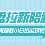 （8329期）网盘拉新陪跑班，零基础小白也能玩转网盘拉新