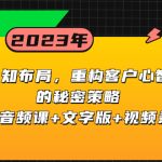 （8271期）认知 布局，重构客户心智的秘密策略三天音频课+文字版+视频录像