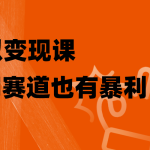 （8219期）虚拟变现课，冷门赛道也有暴利，手把手教你玩转冷门私域