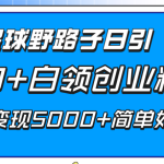 （8315期）知识星球野路子日引300+白领创业粉，日稳定变现5000+简单好上手！