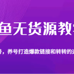 闲鱼无货源教学，教你起号，养号打造爆款链接以及转转的运营技巧