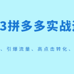 2023拼多多实战运营，选款测品、引爆流量、高点击转化、规则解析