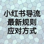 小红书导流最新规则应对方式，新规以后目前还可用的引流方式解读