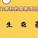 冷门暴力的最新项目，养生花茶，八九月份的红利期马上到来，两个月10w不是梦