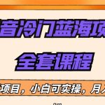 外面收费1288的抖音冷门蓝海项目，新手也可批量操作，月入1W+