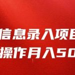 信息录入返佣项目，小白无脑复制粘贴，月入5K+
