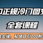 外面卖980的正规冷门图文新玩法，私域日引100粉丝，变现200+