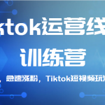 Tiktok运营线上训练营，引流爆单，急速涨粉，Tiktok短视频玩法大揭秘！