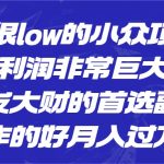 [抖音快手]一个很low的小众项目，但利润非常巨大，闷声发大财的首选副业，操作的好月入过万