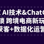 [跨境电商]独家 AI技术&ChatGPT解锁 跨境电商新玩法，引流获客+数据化运营思维