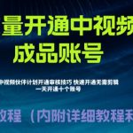 [新自媒体]外面收费1980暴力开通中视频计划教程，附 快速通过中视频伙伴计划的办法