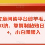 最新文章阅读平台薅羊毛，1万播放200块，靠复制粘贴日入200+，小白闭眼入【揭秘】