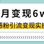单月变现6W+，抖音情感粉引流变现实操课，小白可做，轻松上手，独家赛道【揭秘】