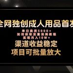（8128期）最新全网独创首发，成人用品赛道引流获客，月入10w保姆级教程